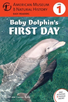 Image for Baby Dolphin's First Day