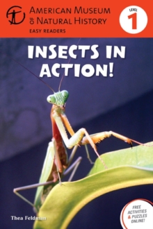 Image for Insects in Action!