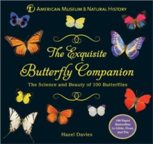 Image for The Exquisite Butterfly Companion