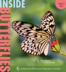 Image for Inside butterflies
