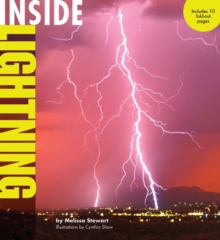 Image for Inside lightning