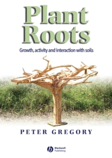 Image for Plant Roots