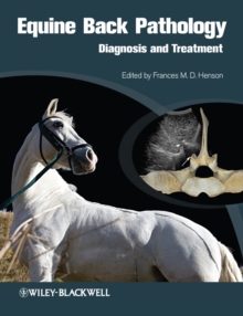 Image for Equine back pathology  : diagnosis and treatment