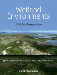 Image for Wetland environments  : a global perspective