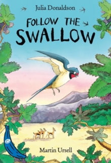 Image for Follow the swallow