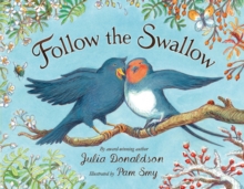 Image for Follow the Swallow