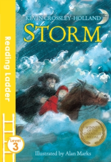 Image for Storm