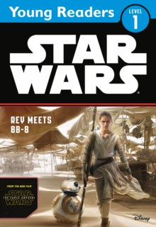 Image for Star Wars The Force Awakens: Rey Meets BB-8