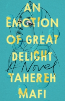 Image for An emotion of great delight  : a novel