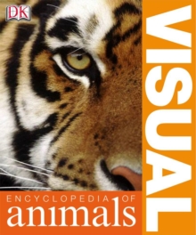 Image for Visual Encyclopedia of Animals