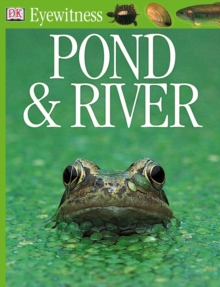 Image for Pond & river