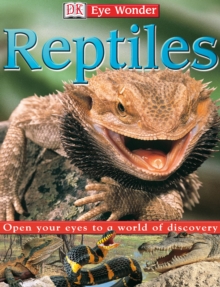 Image for Reptiles.