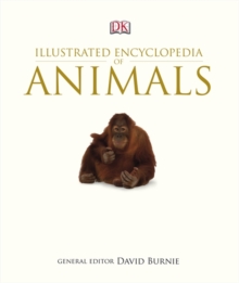 Image for DK illustrated encyclopedia of animals