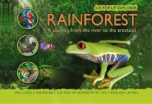 Image for Rainforest 3-D pop-up explorer