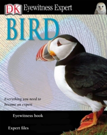 Image for Bird.