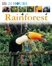 Image for Rainforest.
