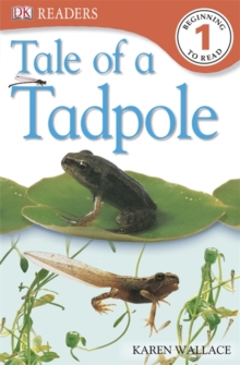 Image for Tale of a Tadpole