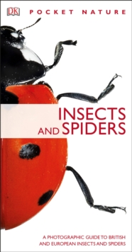Image for Insects and spiders