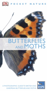 Image for Butterflies and moths