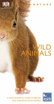 Image for Wild animals