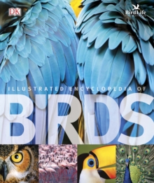 Image for Illustrated encyclopedia of birds
