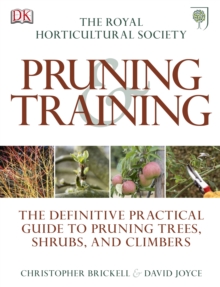 Image for Pruning & training
