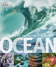 Image for Illustrated encyclopedia of the ocean