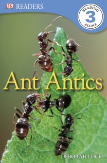 Image for Ant antics