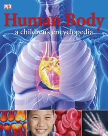 Image for Human body  : a children's encyclopedia