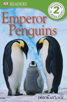 Image for Emperor Penguins