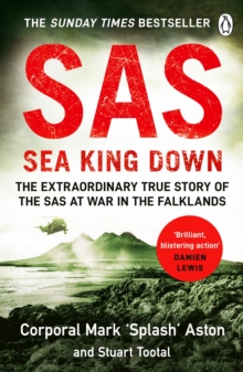 Image for SAS Sea King Down