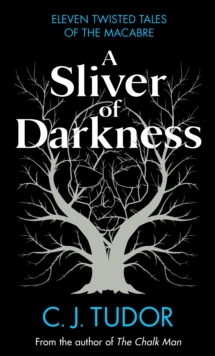 Image for A Sliver of Darkness