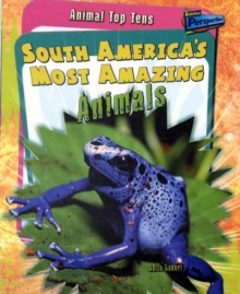 Image for South America's most amazing animals