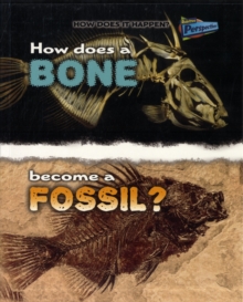 Image for How Does a Bone Become a Fossil?