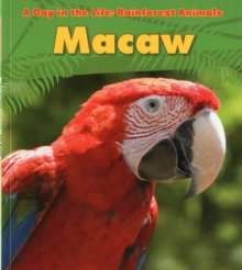 Image for Macaw