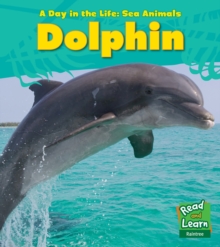 Image for Dolphin