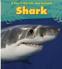 Image for Shark