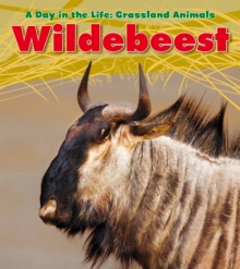 Image for Wildebeest