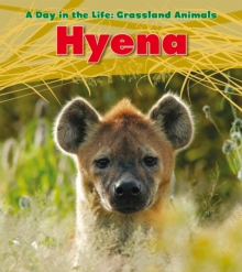 Image for Hyena