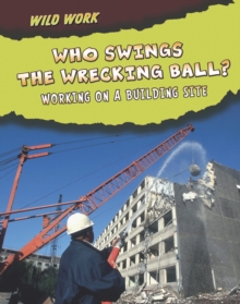 Image for Who swings the wrecking ball?  : working on a building site