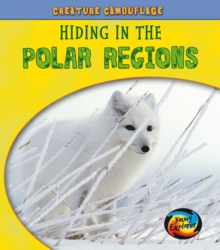 Image for Hiding in the polar regions
