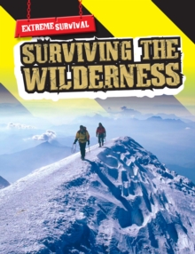 Image for Surviving the wilderness