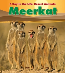 Image for Meerkat