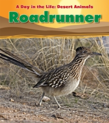Image for Roadrunner