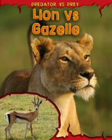 Image for Lion vs gazelle