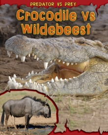 Image for Crocodile vs wildebeest