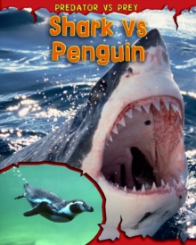 Image for Shark vs penguin
