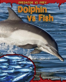 Image for Dolphin vs fish