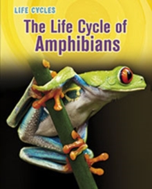 Image for The Life Cycle of Amphibians