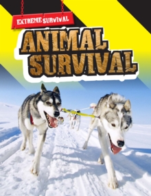 Image for Extreme Survival : Pack A